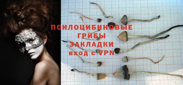 трава Абаза