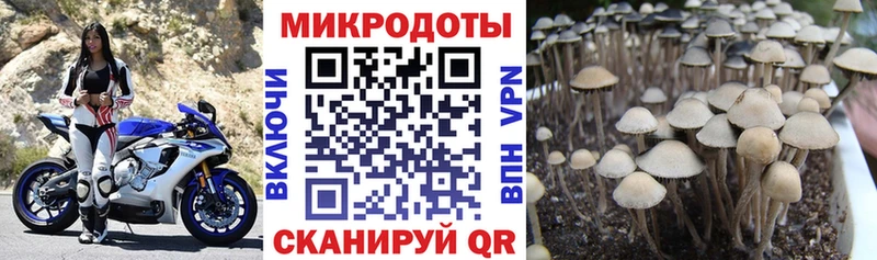 сайты даркнета клад  Ак-Довурак  Псилоцибиновые грибы Cubensis 